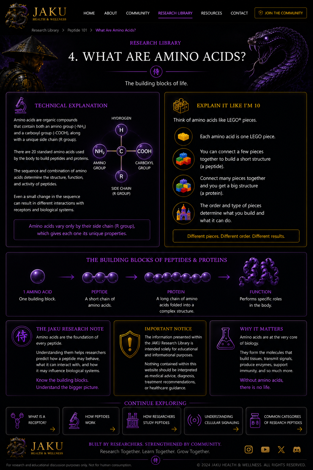 What Are Amino Acids? JAKU webpage design