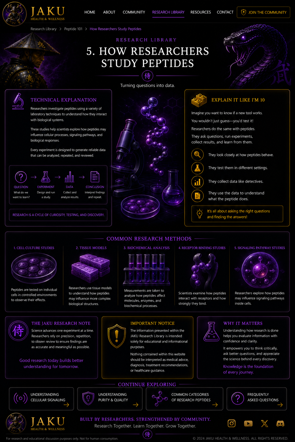 How Researchers Study Peptides JAKU webpage design