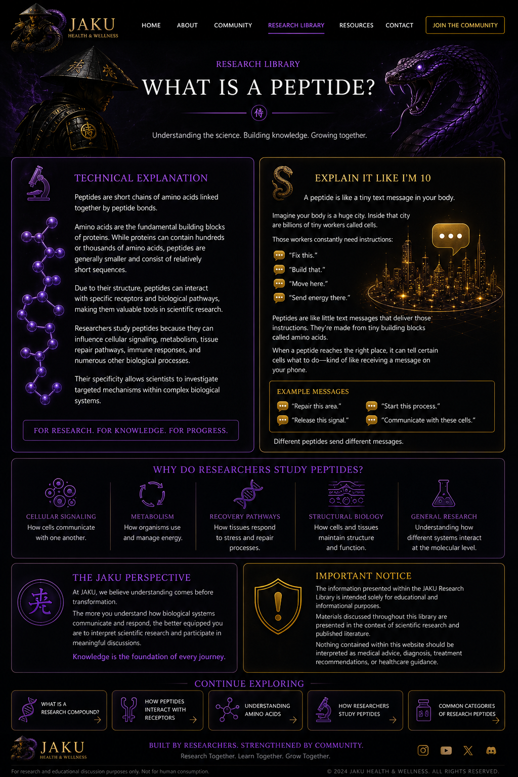 What Is a Peptide? JAKU webpage design