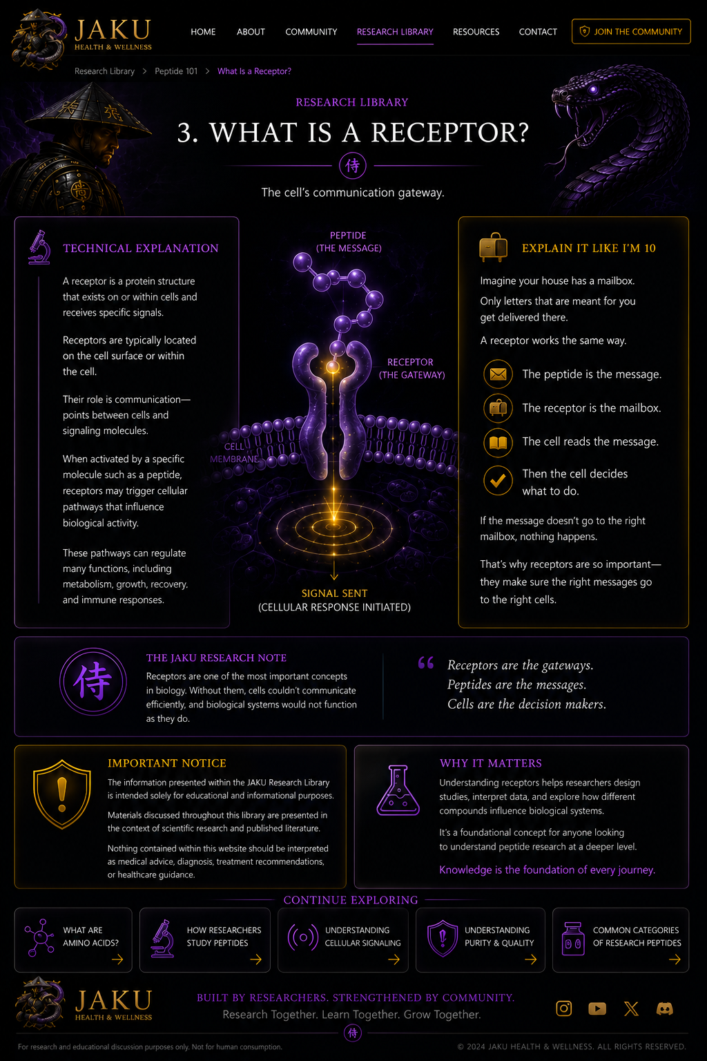 What Is a Receptor? JAKU webpage design